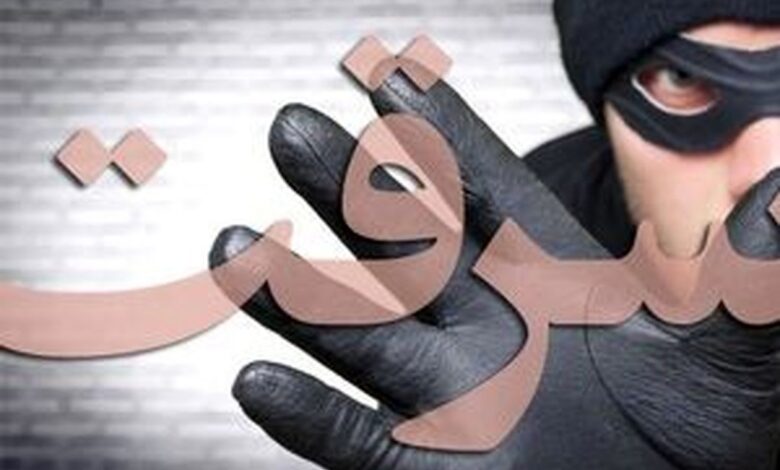لحظه سرقت موبایل یک روحانی در روز روشن + فیلم 1