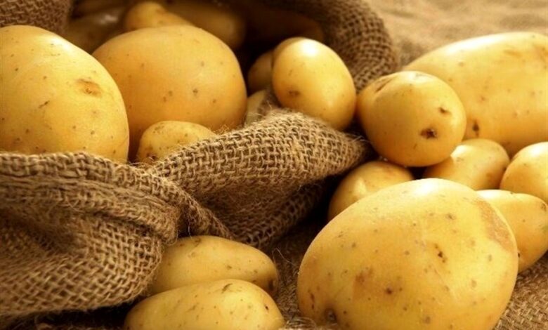امتناع از عرضه سیب زمینی به هوای افزایش قیمت 1 سیب زمینی