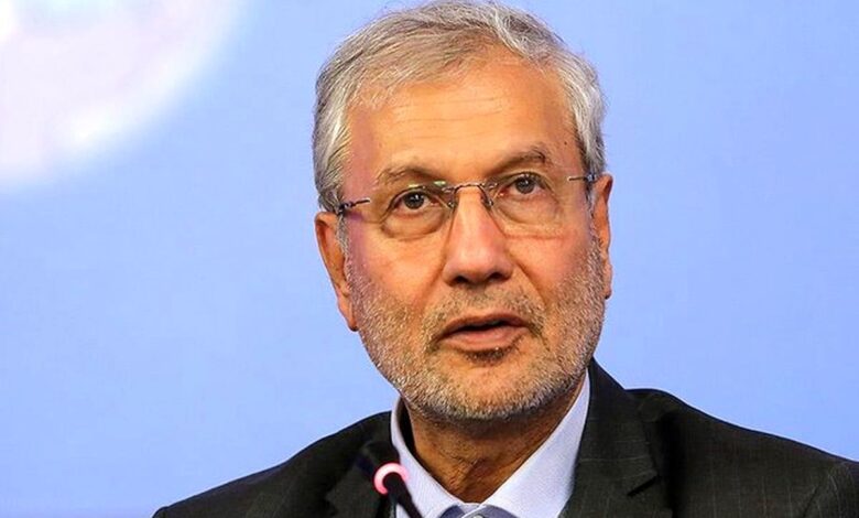 علی ربیعی: کسانی که دنبال استیضاح وزیر اقتصاد هستند، تحریمها را محکمتر می کنند 1 علی ربیعی