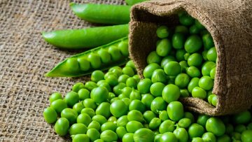 مصرف این دانه سبز ب موجب تقویت چشم و قلب شما می شود 1 چشم