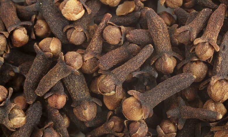 گیاهی مفید برای کنترل قند خون و لاغری 1 گیاه