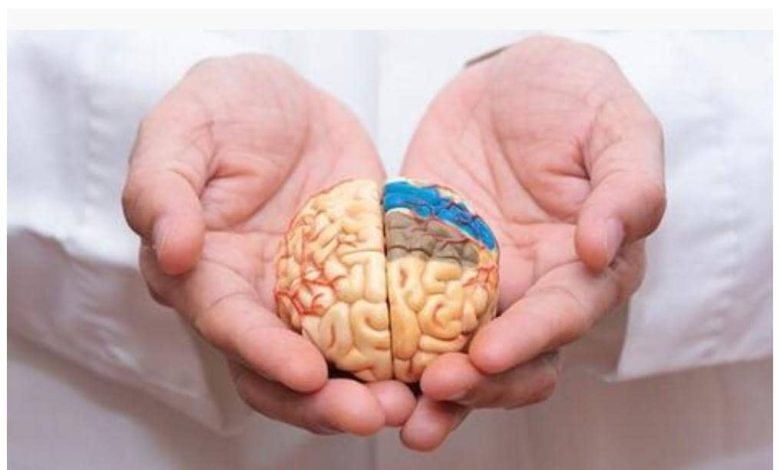 چرا برخی خاطرات در ذهن ماندگار میشود؟ 1 خاطرات