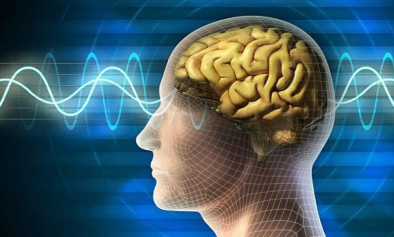 چند ترفند ساده و جالب برای خواندن ذهن دیگران با زبان بدن و رفتارهای ناخودآگاه 1 زبان بدن