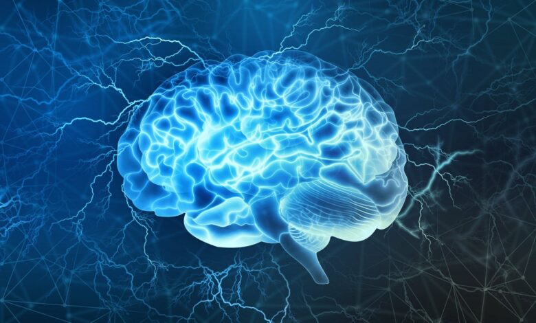 آیا میدانستید خاطرات فقط در مغز ذخیره نمیشوند؟ 1 مغز